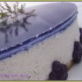 PASTEL MOUSSE DE VIOLETAS