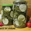Pepinos en vinagre, encurtidos.