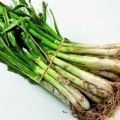 SALSA ROMESCO (ESPECIAL CALÇOTS)