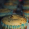 CUPCAKES DE RICOTTA CON LEMON CURD