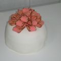 Tarta arcoiris y tutorial de lazo.
