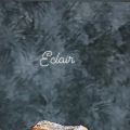 Eclairs