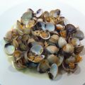 Berberechos en Salsa de Vino Blanco