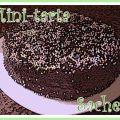 Minitarta rápida. Minitarta Sacher.
