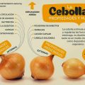 La cebolla y sus propiedades