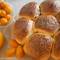 Brioche de Naranja y Chocolate