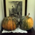 Me dieron calabazas