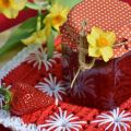 MERMELADA DE FRESAS SIN AZUCAR