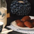 Madeleines de cacao