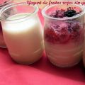 Yogurt sin yogurtera ( con frutos rojos y[...]