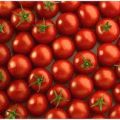 Artículo vegetarianismo en 