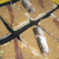 PATÉ MARINERO