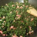 Bechamel de espinacas y jamón