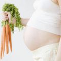 Vegetariana, embarazada y no morir en el intento