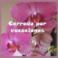 VACACIONES Y REGALOS