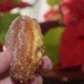 Galletas Fritas