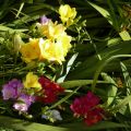 limpieza primaveral