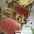FANTASÍA DE ATÚN TERIYAKI