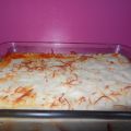 LASAÑA SÚPER FÁCIL