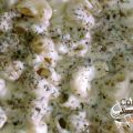 PASTA: Caracolas con salsa de queso gorgonzola