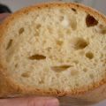El refranero de Emilia