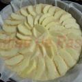 Tarta de manzana (sin azúcar)