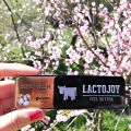 Pastillas de lactasa LactoJoy (sin gluten)