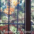 Con lo que tengo en casa: mucho más que una[...]