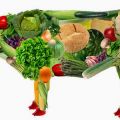 20 DE MARZO, DÍA MUNDIAL SIN CARNE