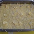 CANELONES DE LA IAIA