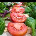Ensalada de Ventresca con tomate y brotes[...]