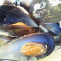 Mejillones al estilo Taberna del Gourmet