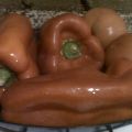 Ternera en Salsa