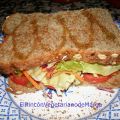 Sandwich vegetal