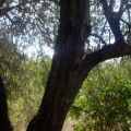 Ayuno: ¿Y usted qué opina?