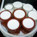 Yogur Griego (Y Libro de Recetas)