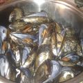 Mejillones al vapor, al estilo de Jose Ángel