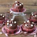 MINI CUPCAKE DE CHOCOLATE Y CREMA DE ALBA