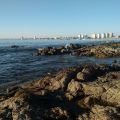 Último feriado del año, Punta del Este 2017