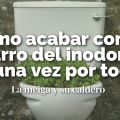 Como Acabar con el Sarro del Inodoro (de una[...]
