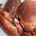 Hacer Ñoquis con Buey de mar (Gnochi al[...]