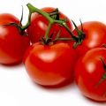 Tomates al horno