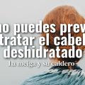 Cómo Prevenir y Tratar el Cabello Deshidratado