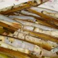 NAVAJAS A LA MARINERA (COCINA DE CEUTA)
