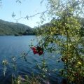 

Lugares: Arnoia. Que visitar y que hacer.


