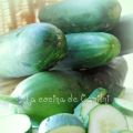 Día del pepino.