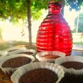Muffins veganos de chocolate ( sin leche ni[...]