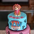 TARTA PATRULLA CANINA