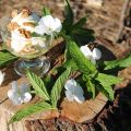 Yogurt deshidratado con miel y nueces