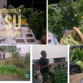 Evento: #hortaOroza: probando la cocina del[...]